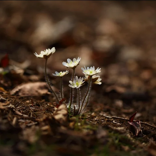 c7娱乐博彩牌照