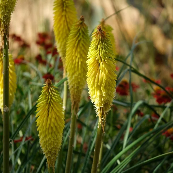 c7娱乐百家乐游戏